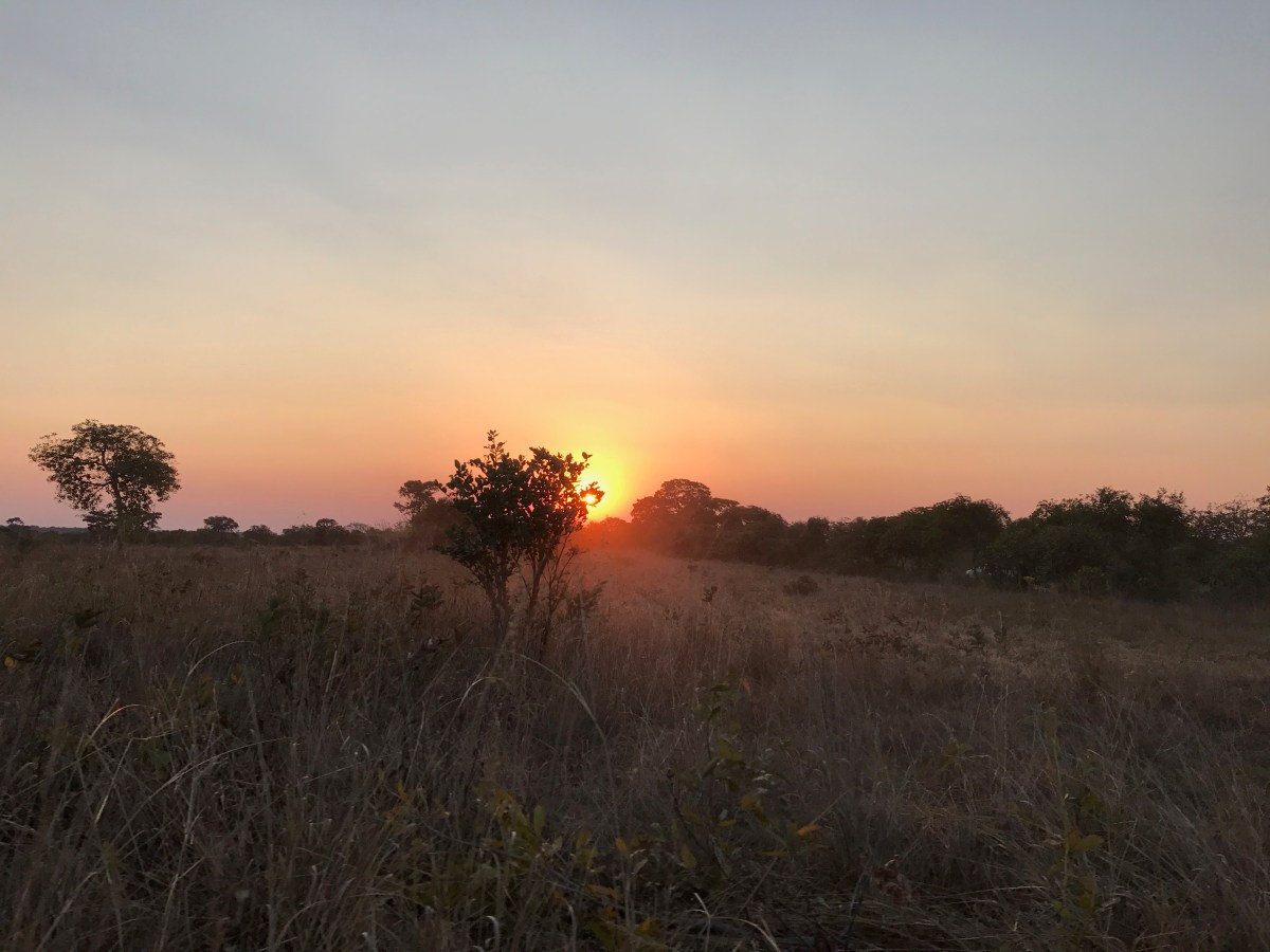 NEW INITIATIVE: Kaanga Community&nbsp;School